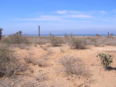 Lots/Land For sale in Los Cerrios, El Pescadero, Baja California Sur, Mexico - Sin Nombre Lote 2188